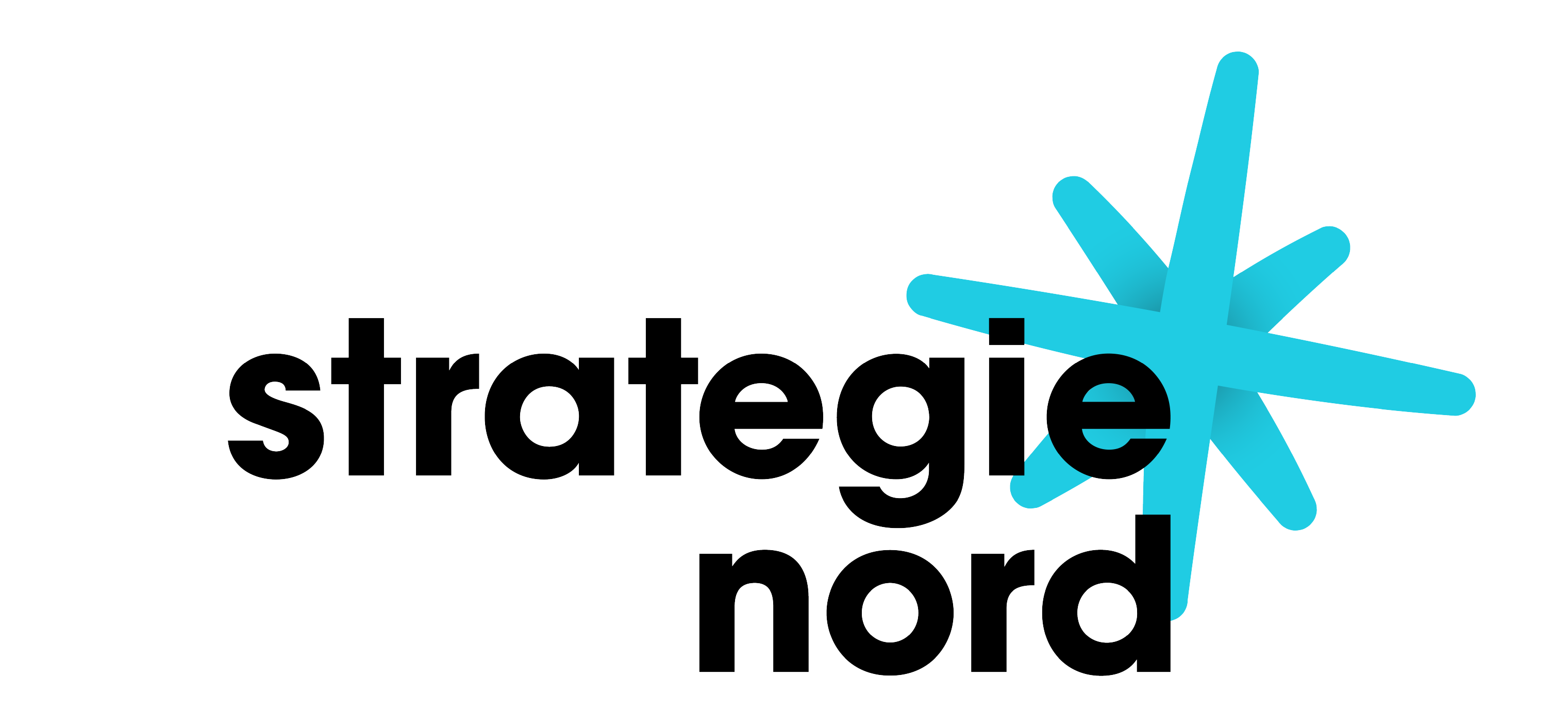 Logo Strategie Nord GmbH